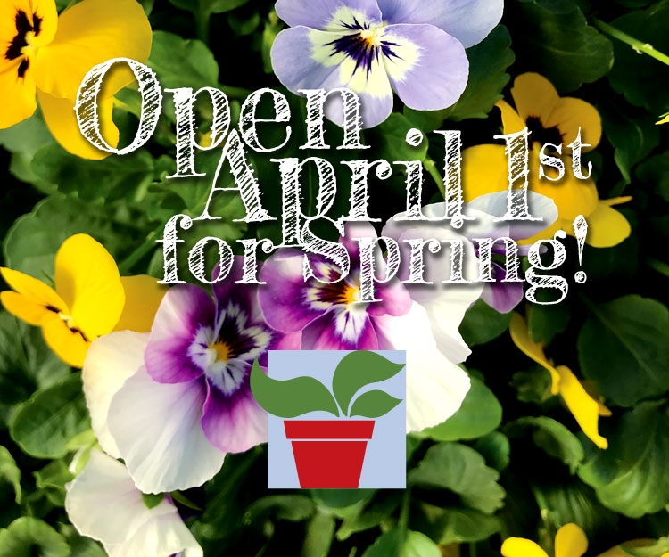 Open April 1st for Spring